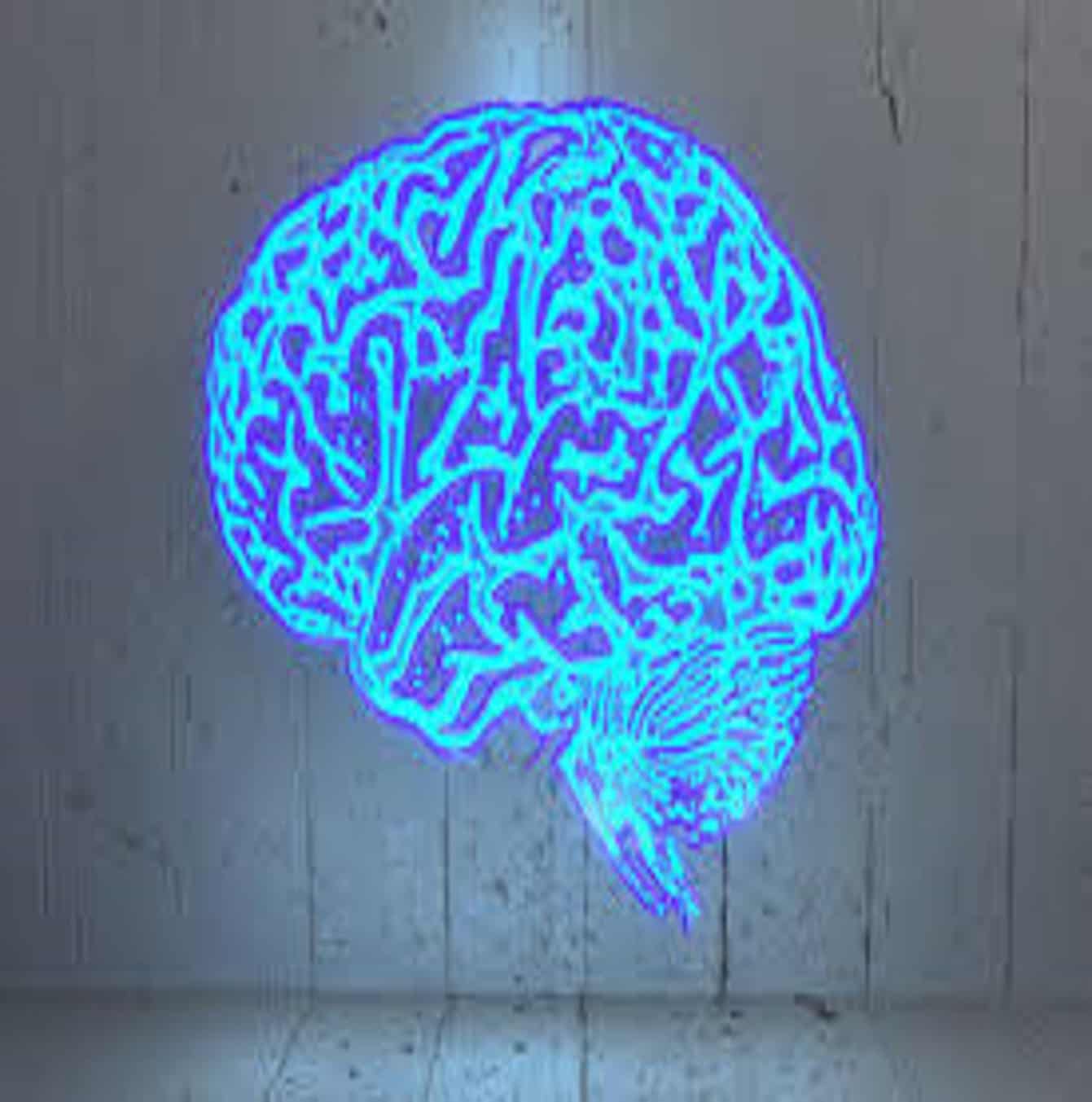 brain